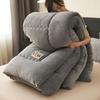 2025 Autumn/Winter Double-Sided Milk Velvet Thickened Warm Quilt