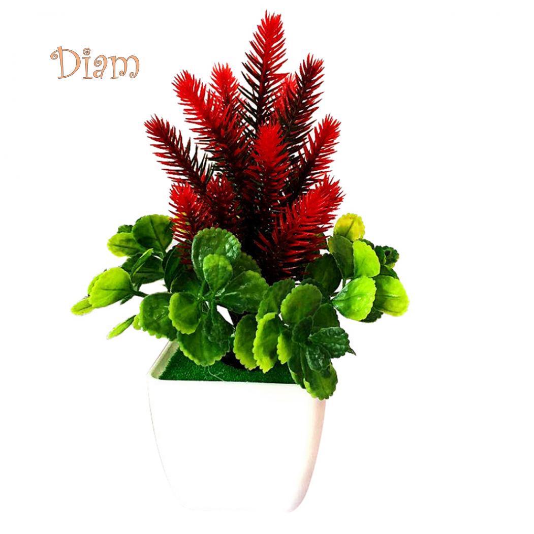 

Цветочная трава в горшке красный