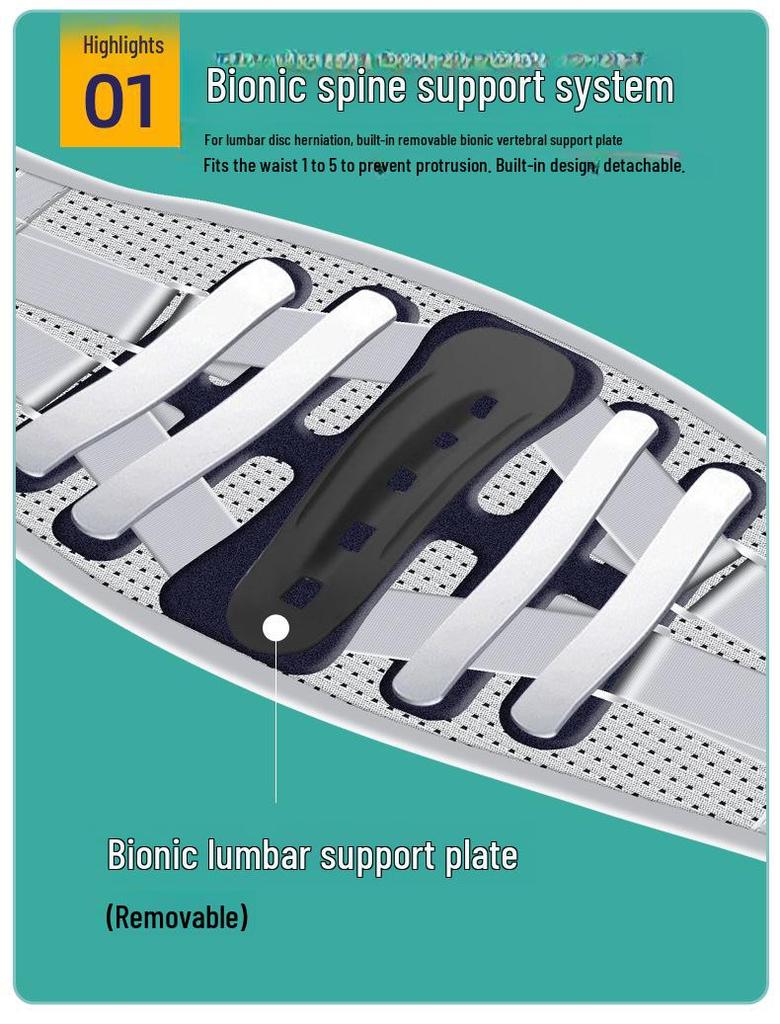 Women's Breathable Lumbar Support Belt for Herniation and Muscle Strain