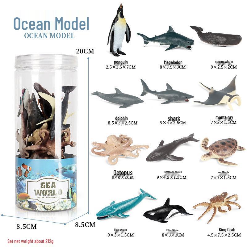 Frog Life Cycle Model Set: Tadpole to Frog Educational Toys for Kids