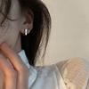 S Silver Needle Light Luxury English Alphabet Earrings Women's Fashion Personal Cold Korean Summer New Geometric Earrings