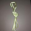 Shoes, Basketball Shoes, Sports Shoes, Running Shoes, Bright Fluorescent Flat Reflective Laces