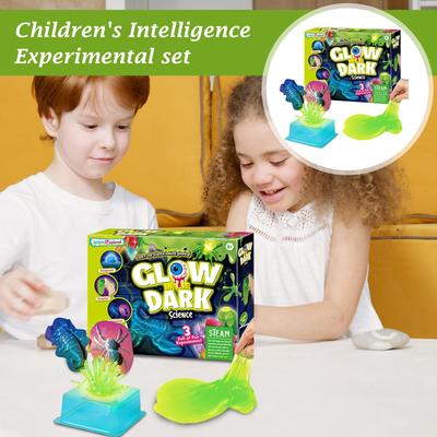 Educational Science Experiment Toys For Primary School Students