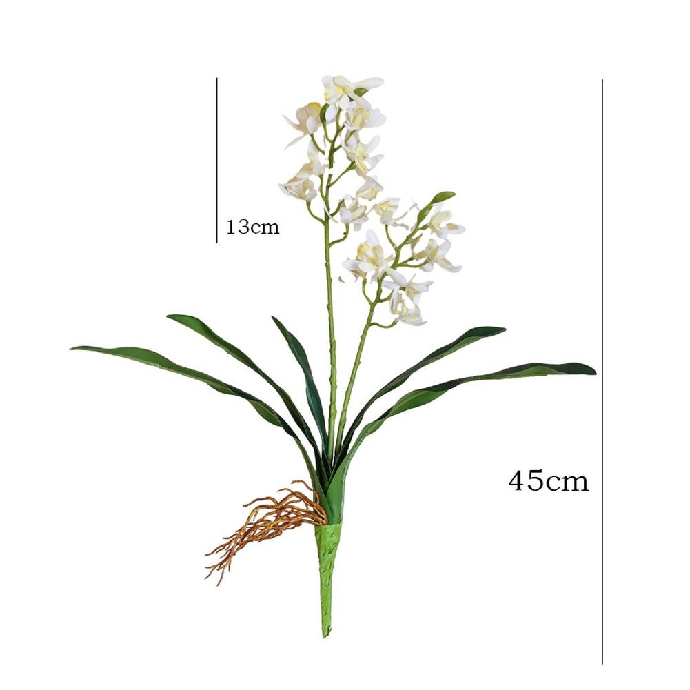 Stelo Flessibile Orchidea Phalaenopsis Oggetti di Scena per Fotografia Stelo in Filo Flessibile Fogliame Realistico Costruzione in Plastica Steli Regolabili