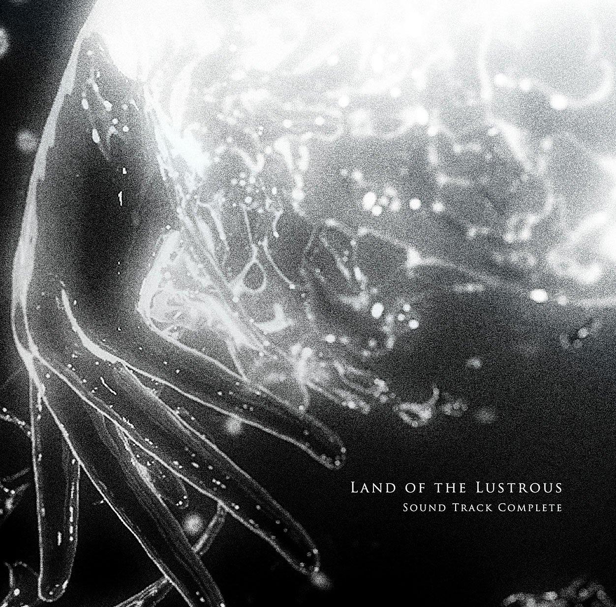 

TV anime of the original soundtrack complete Land Lustrous