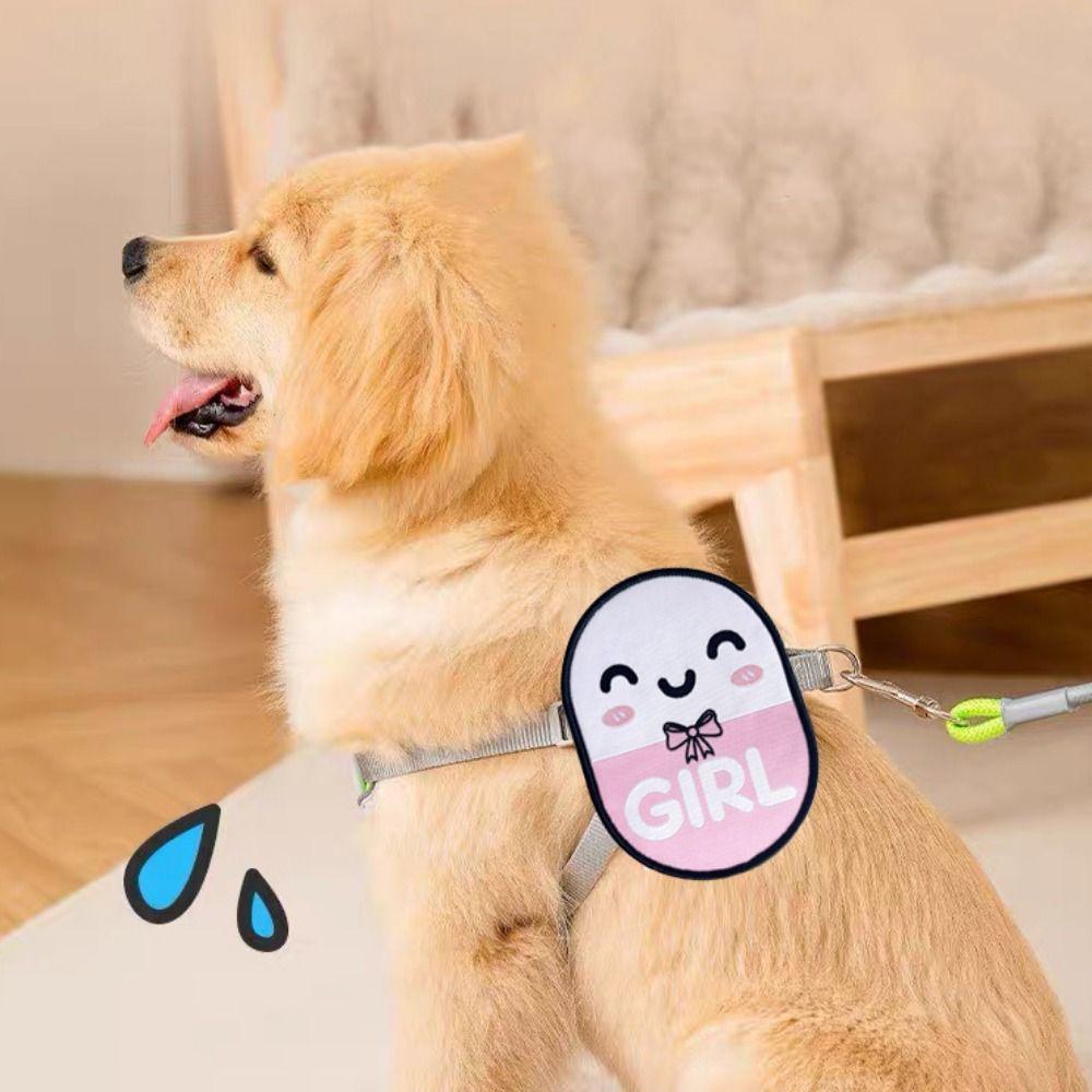 Decorative Dog Identity Decals Cartoon Pet Identification Stickers Pet Label Outdoor Walking