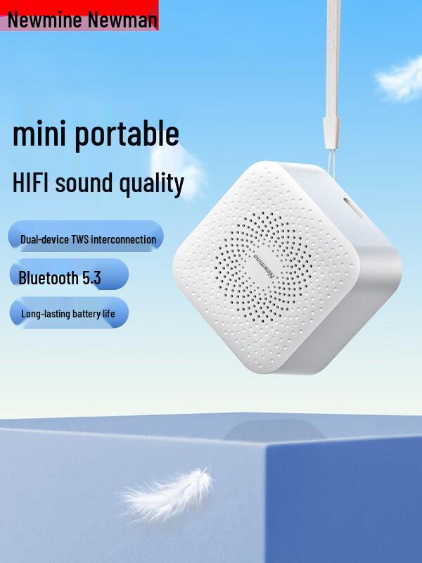 

Newman BT520 HIFI Portable Bluetooth Speaker