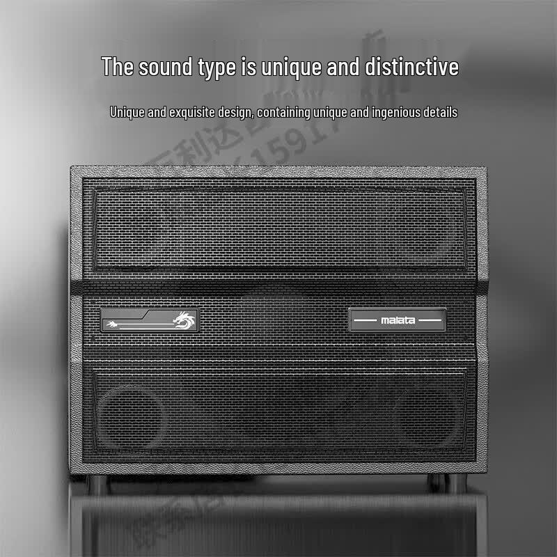Malata Starry Series Professional All-in-one Amplifier Speaker 380W 10-inch Bass (CN version)