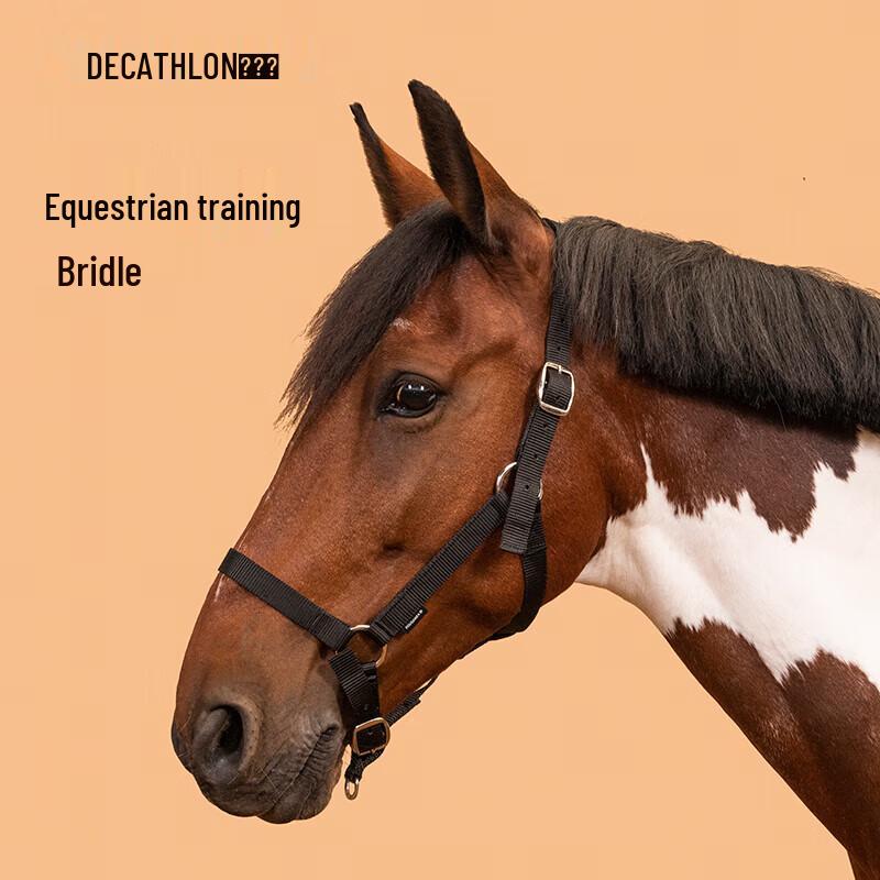 

Decathlon Horse Halter and Training Equipment