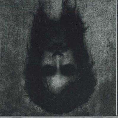 CD RIKI RIKI TAVE Y LA BANDA MISTERIOS - Dormido Cayendo NS042 NOSESO 2013 Argentina Rock Used