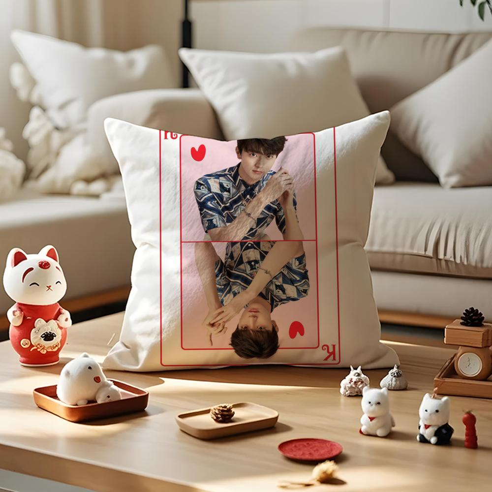 LinYi Chinese Actor Cushion Cover Anti-dustmite Pillowcase Invisible Zipper Silky Short Plush Sofa Cushion Cover