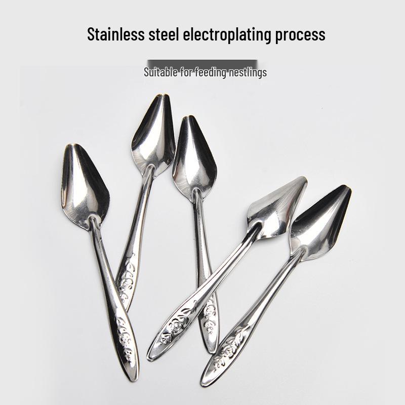 Stainless Steel Bird Feeding Spoon for Parrots, Cockatiels, Budgies, and Baby Birds.