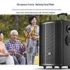 Soaiy SA-F85 High-Power Portable Bluetooth KTV Speaker with Dual Microphones CN Plug (adapter Included)