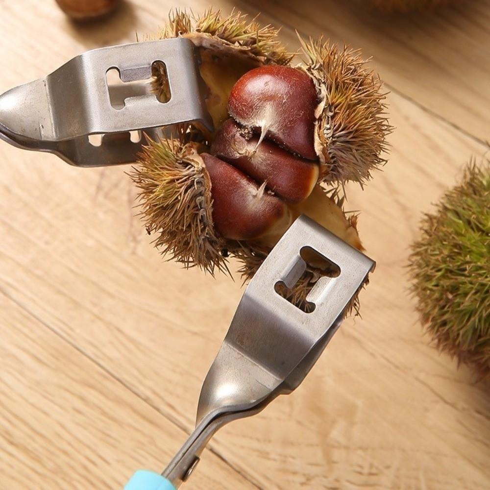 Stainless Steel Chestnut Opener Multi-Functional Chestnut Clip Peeler  Nut Processing