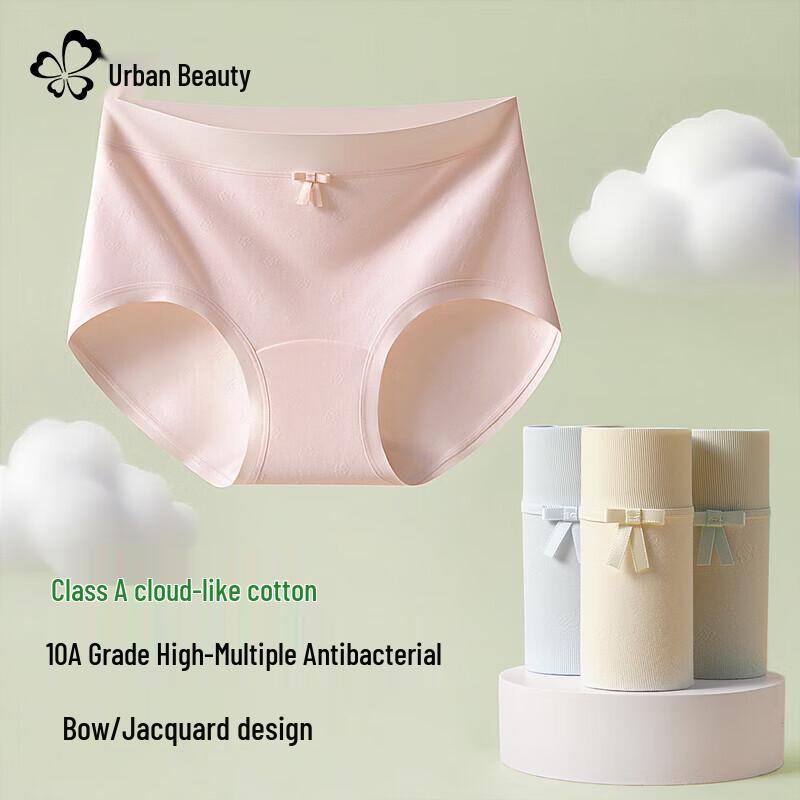 Urban Beauty Women's 4-Pack Pure Cotton Antibacterial Briefs