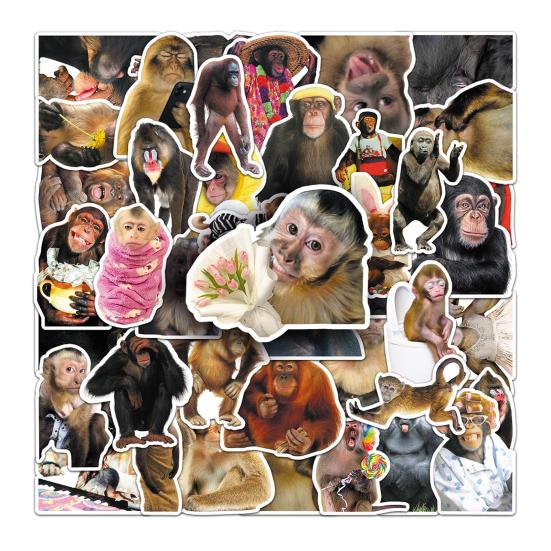 50Pcs Funny Monkey Sticker Waterproof Decals Waterproof Chemical-free Hilarious Vinyl Stickers for Luggage Laptops Water Bottles 50pcs