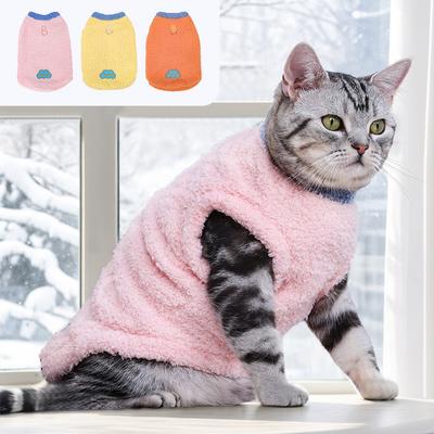 Kedi – Kediler için giyim