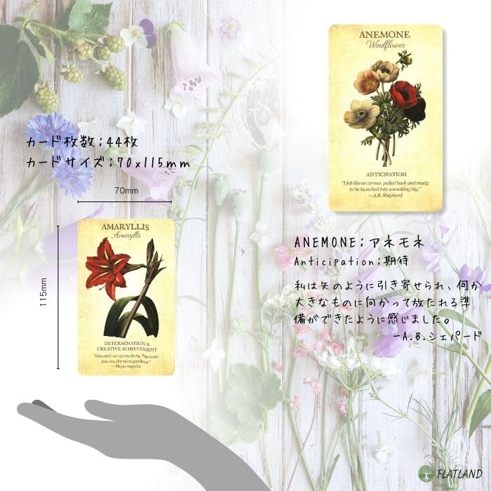 Botanical Inspirations Deck (Authentic Oracle Cards, Flower Fortune Telling, Flower Language) with Japanese Instructions