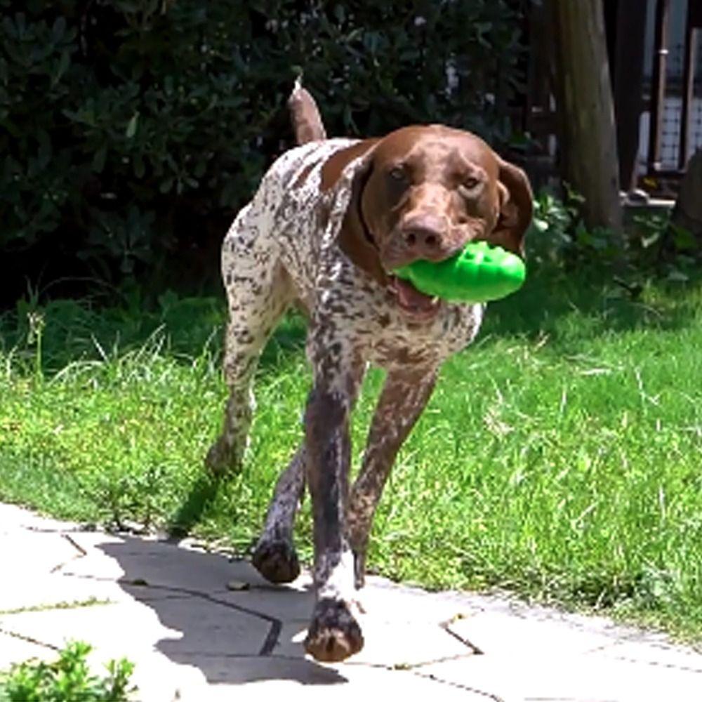 

Interactive Pet Sound Making Toy Wear-resistant Pet Training Toy Dog Chew Toy Puppy зелений