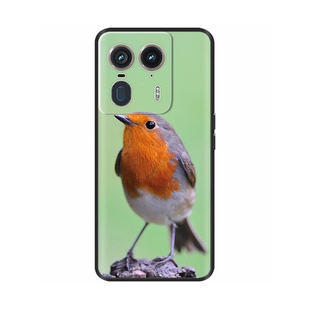 Case For Motorola Edge 50 Ultra Phone Cases For Moto Edge 50 Coque Soft Silicone Cover for Moto Edge 50 Fusion Edge50 Pro Fundas