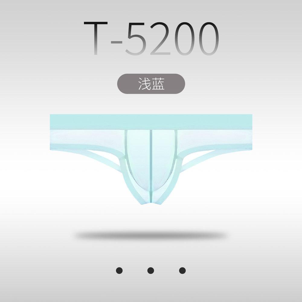 Low Rise Briefs Transparent Mesh Underwear Men Sexy Ultra Thin Knickers Bulge Pouch Underpants See Through Ice Silk Lingerie