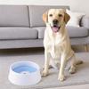 Large Capacity Floating Dog Water Bowl Spill Proof Anti-Splash Pet Water Dispenser Detachable Anti-Over Cat Water Fountain