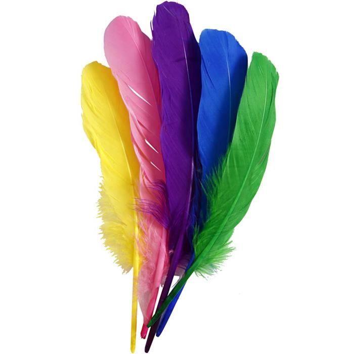 Plumes de qualité - Réf 51818 - Couleurs vives - Paquet de 6 couleurs différentes