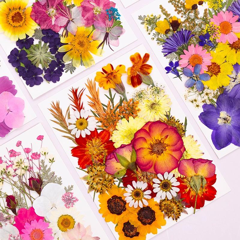 Natural Dried Flowers Pack For Diy Resin Pressed Flower Art