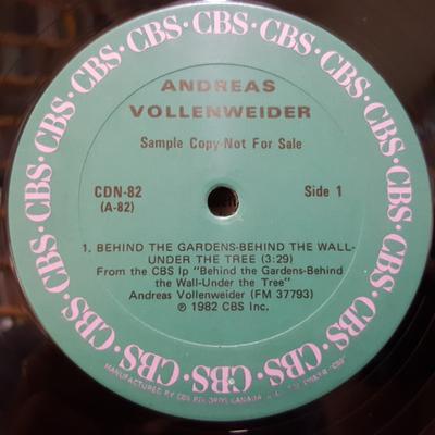 LP-Schallplatte ANDREAS VOLLENWEIDER  ... Hinter den Gärten Hinter dem CDN82 CBS 1982 Kanada Tanz Electronica Gebraucht