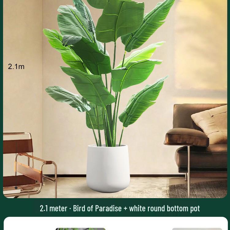 High-End Indoor Bird of Paradise Decor: Luxury Potted Traveler's Palm