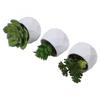 Artificial Succulents Decorative Flower Pot Easy Maintenance