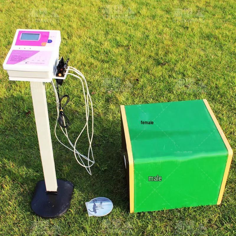 AI Physical Fitness Training & Testing Systems
