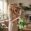 Parrot Grinding Teeth Relieving Boredom Wooden Pinecone Building Chewing Stick