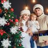 Christmas Star Flowers 6 Pcs White [Se-Gb22]