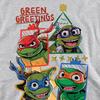 Teenage Mutant Ninja Turtles: Mutant Mayhem Unisex Adult Green Greetings Christmas Sweatshirt