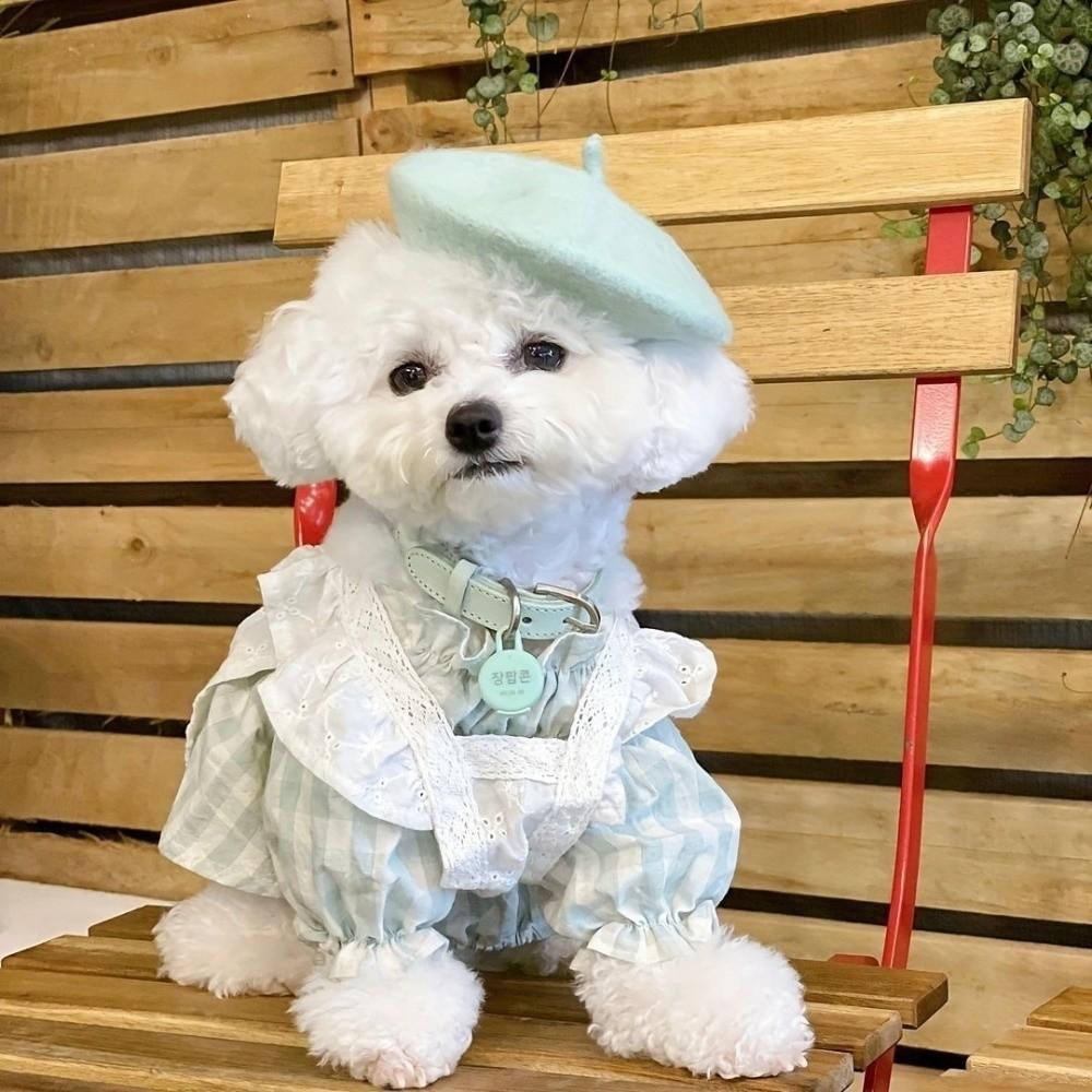 Teplý psí ohřívač Zimní čepice Pletená kočičí psí čepice Čepice pro mazlíčky Vysoce kvalitní psí fleecová čepice Baret Štěně