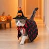 Huaqianguhh 1 Set Pet Halloween Costume, Spider Pumpkin Wizard Hat And Double-Sided Bat Print Cape, Holiday Party Outfit for Cats Dogs