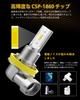 GOSMY H8/H11/H16 LED Fog Lights (for Japanese Cars) White 2000LM LED Fog Lights CSP1860SMD LED Element 2-Pack 12V Compatible 6000K-6500K (Set of 2)