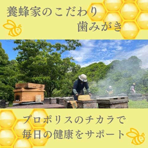 Bee-Pro Propolis Toothpaste, with Propolis Extract, for Mouth Cleansing, Bad Breath Prevention, and Bad Breath Care, Made with Brazilian Green Propoli