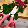 Garden Pruning Shears