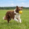 Breathable Pet Muzzle Adjustable Dog Mouth Guard Practical Dog Stop Barking Mask  Vet Visit