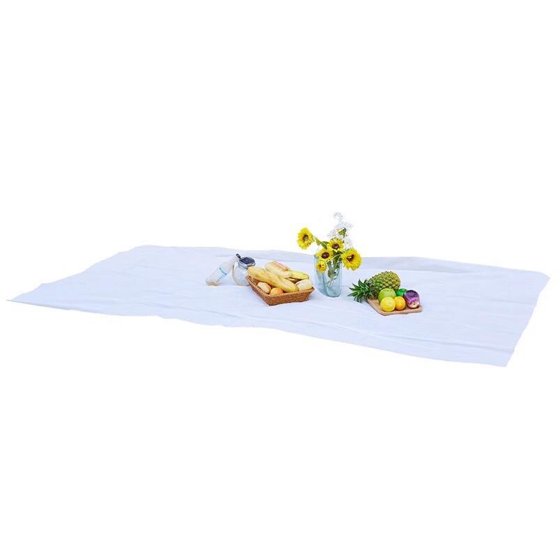 MDNG Disposable Waterproof Outdoor Picnic Mat - 240x240cm (5-Pack)