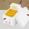 Foam Hive Bees Mating Box Beekeeping Tool Sturdy Accessories Professional Practical Foam Bees Breeding Box Development