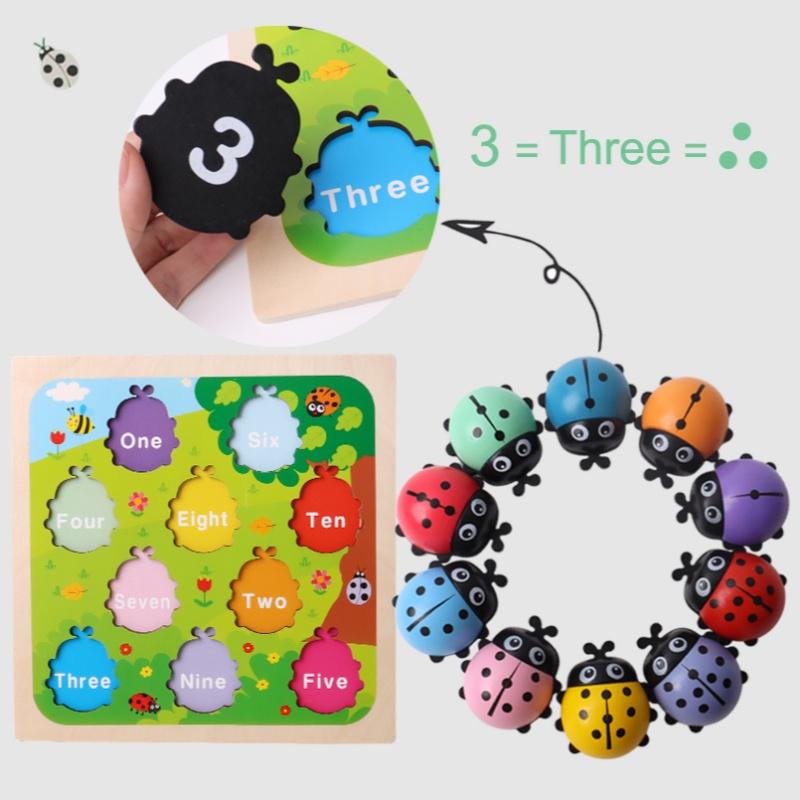 Coccinella Contante in Legno Giocattoli Educativi per Bambini Gioco del Conteggio con Bastoncini Coccinella Giocattolo Matematico Apprendimento Numeri Educazione Precoce