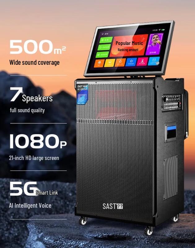 

Xianke WD-38 Portable Karaoke Machine with Display