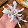 Plastic Conch Hair Clip Women's New Fashionable Resort Style Shark Clip Marine Hair Accessories