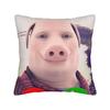 Poszewka na poduszkę John Pork Is Calling Miękka poszewka na poduszkę do biura, samochodu, wystroju domu Kawaii poszewki
