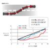 TRD Door Stabilizer Universal Set of 2 MS304-00001 - Car Door Reinforcement, Vehicle Door Support Accessories
