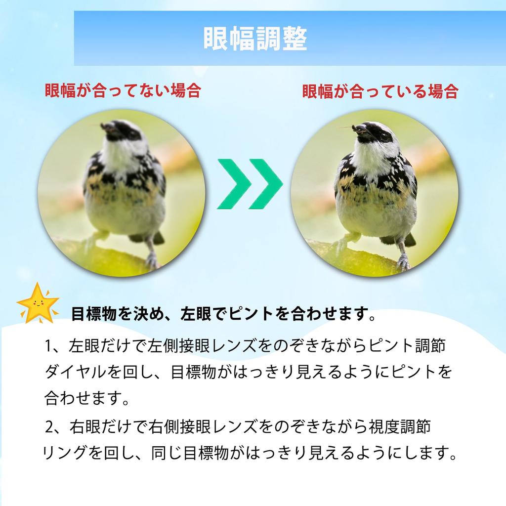 Binoculars for Live Dome Opera for Adjustable Binoculars for Storage Case Japanese Instruction Black Performances, Glasses, Concerts, 20x,