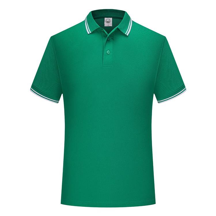 

CY 102TCG 200G РУБАШКА-ПОЛО ИЗ ДВОЙНОГО ПИКЕ 3XL